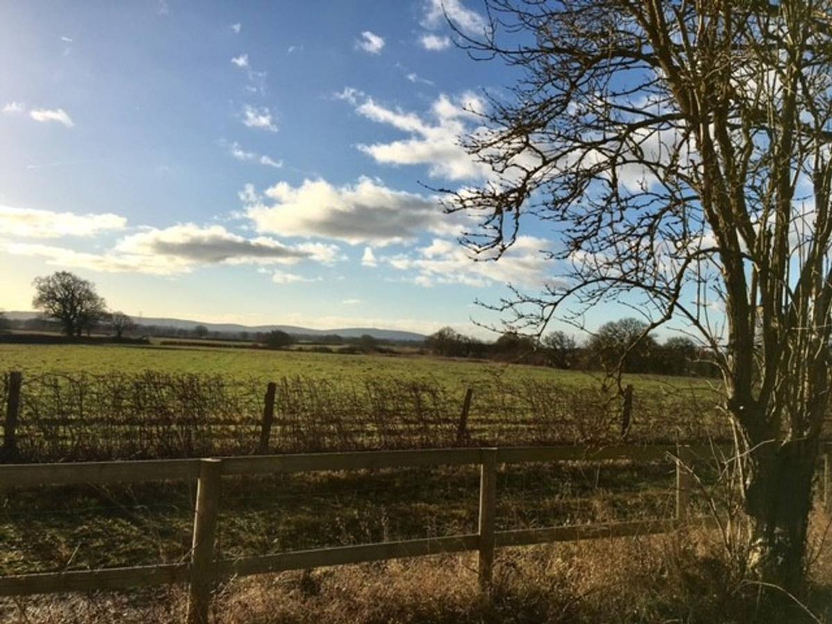 South Cottage - Rural Gem In The Heart Of The Sussex Countryside Twineham エクステリア 写真