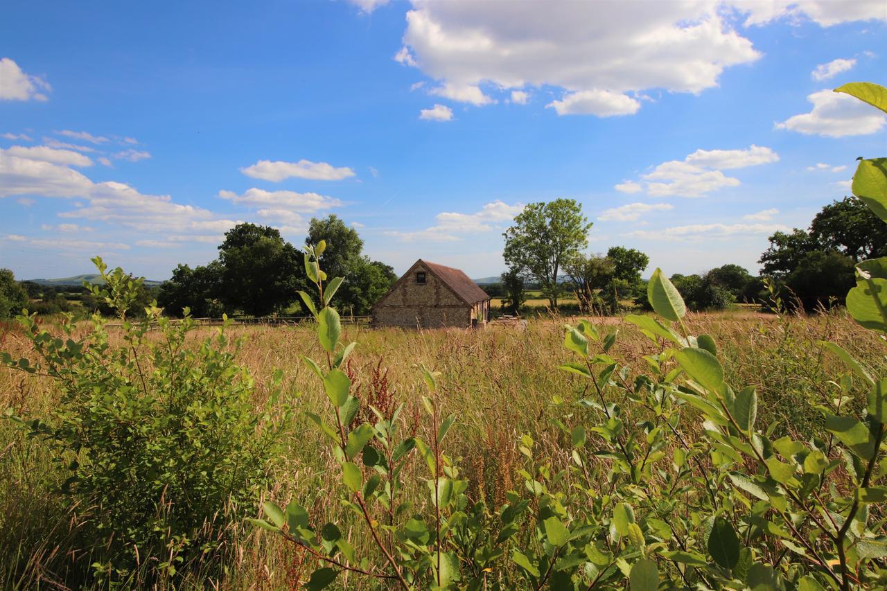 South Cottage - Rural Gem In The Heart Of The Sussex Countryside Twineham エクステリア 写真