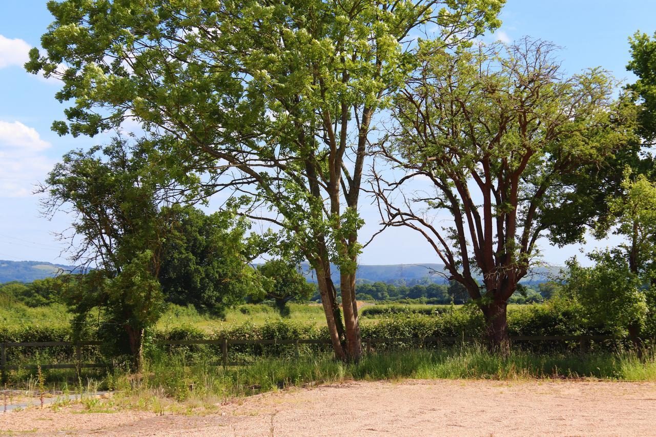 South Cottage - Rural Gem In The Heart Of The Sussex Countryside Twineham エクステリア 写真